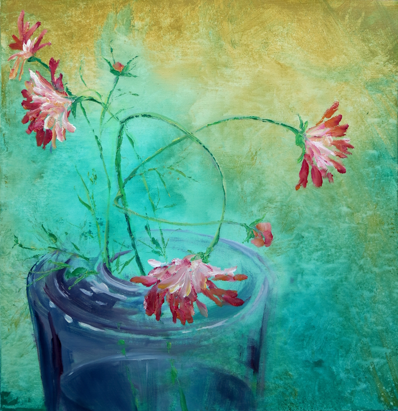 Cosmea in Vase