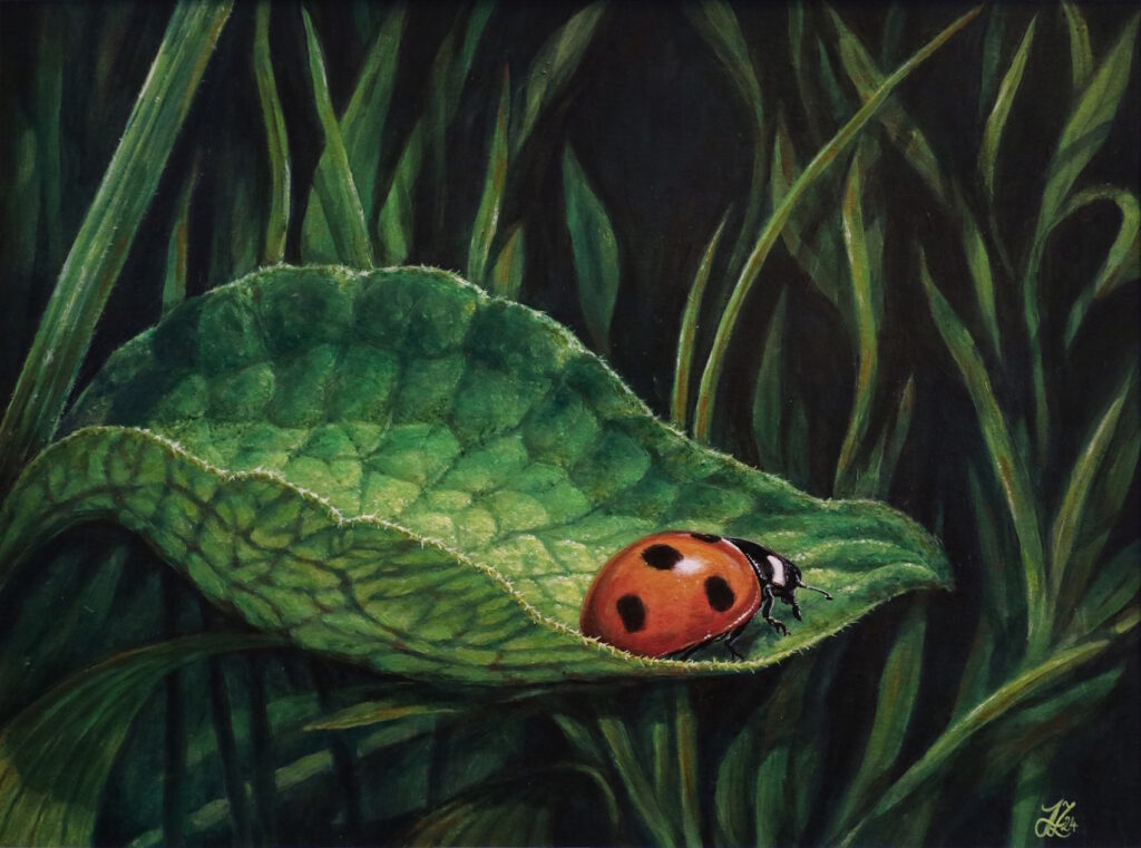 Marienkäfer auf Blatt